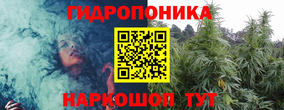 Шишки марихуана Amnesia  Шишки марихуана Bruce Banner  Бошки Шишки марихуана  Вязники  Вход с VPN 